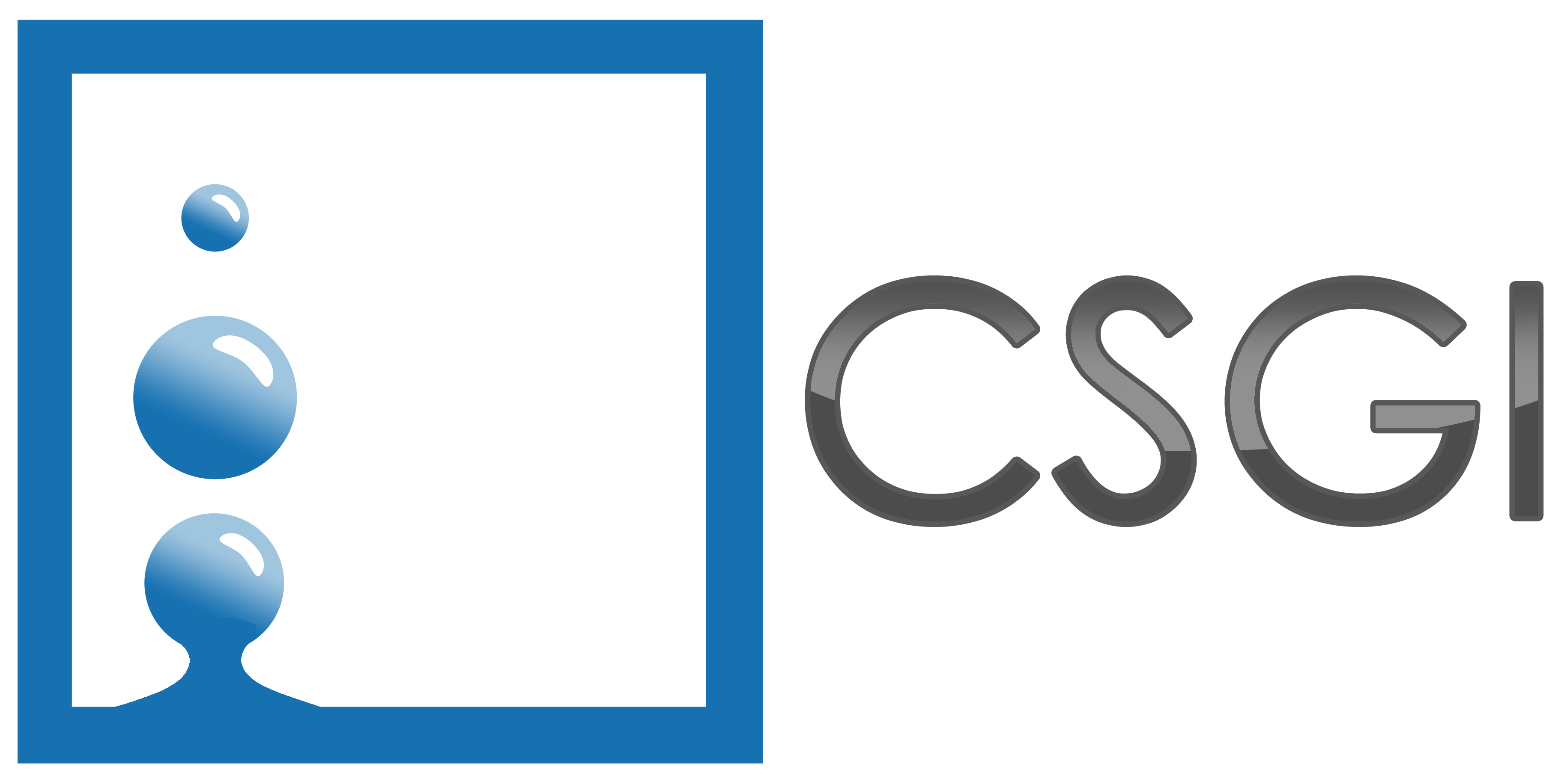 CSGI, Consorzio per lo Sviluppo dei Sistemi a Grande Interfase